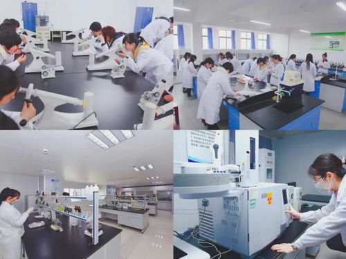 鄭科金專食品科學與工程學院 立足專業優勢，打造河南省綜合改革試點與鄭州市重點專業